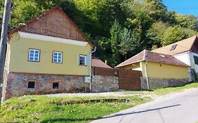 Haus Ingrid Cisnadioara